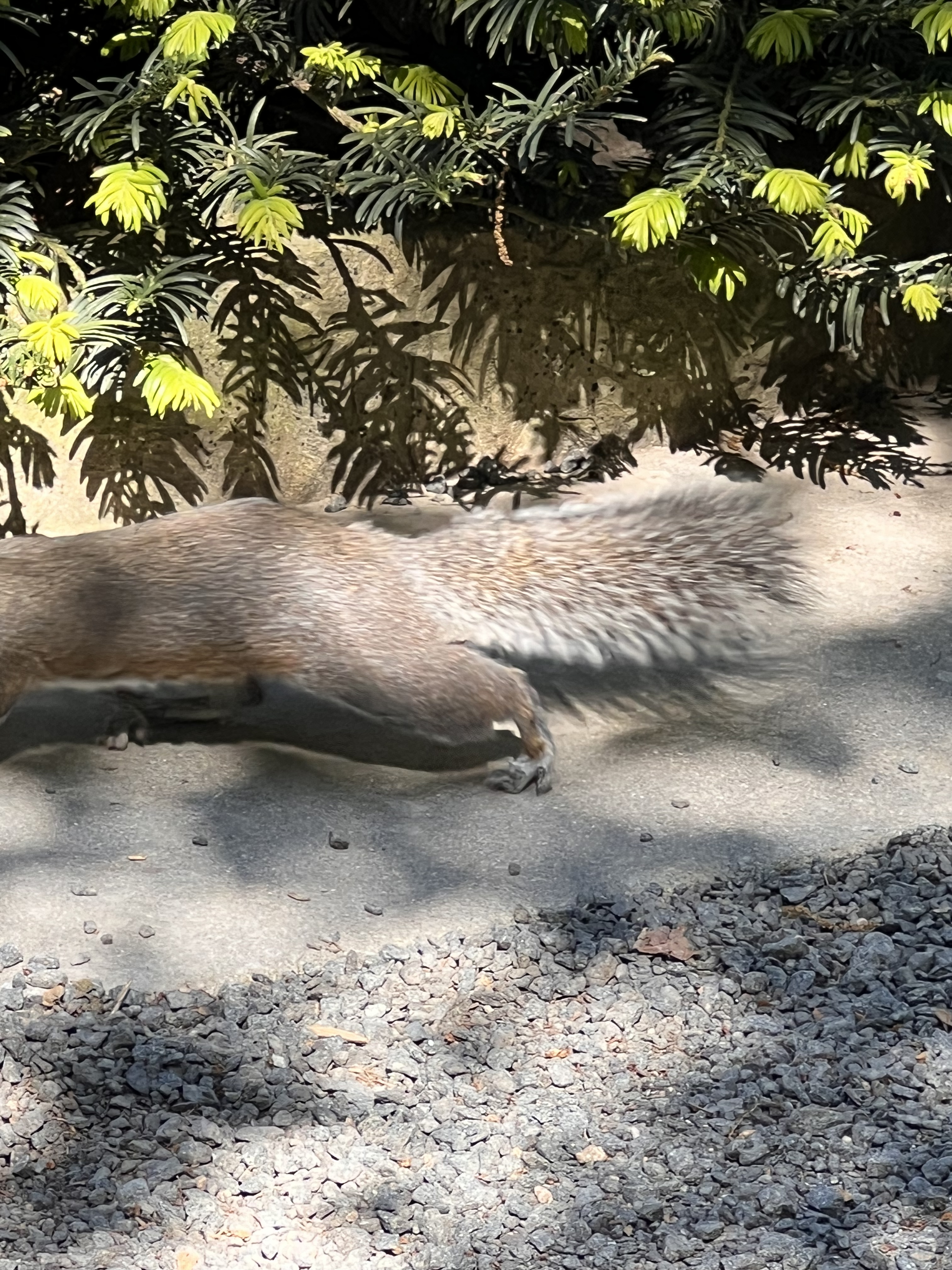 ./2023/05 - Toni Adventures/IMG_3082.jpg